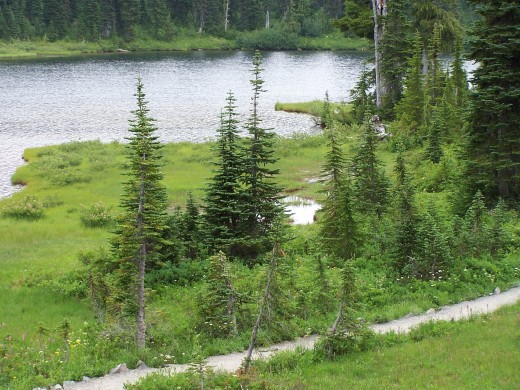 Do you love nature?