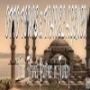 ottotravel profile image