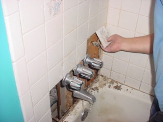 Photo B