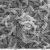 Scanning electron microscope image of Vibrio cholerae bacteria. This causes Cholera. The danger of bacteria comes with their ability to reproduce exponentially: in a very short time you can be overrun! Scanning electron microscope image of Vibrio cholerae bacteria. This causes Cholera. The danger of bacteria comes with their ability to reproduce exponentially: in a very short time you can be overrun!