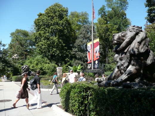 The National Zoo!  No entry fee!!  Our tax dollars at work...
