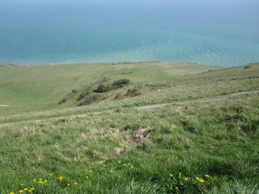 Grassland at the Seven Sisters