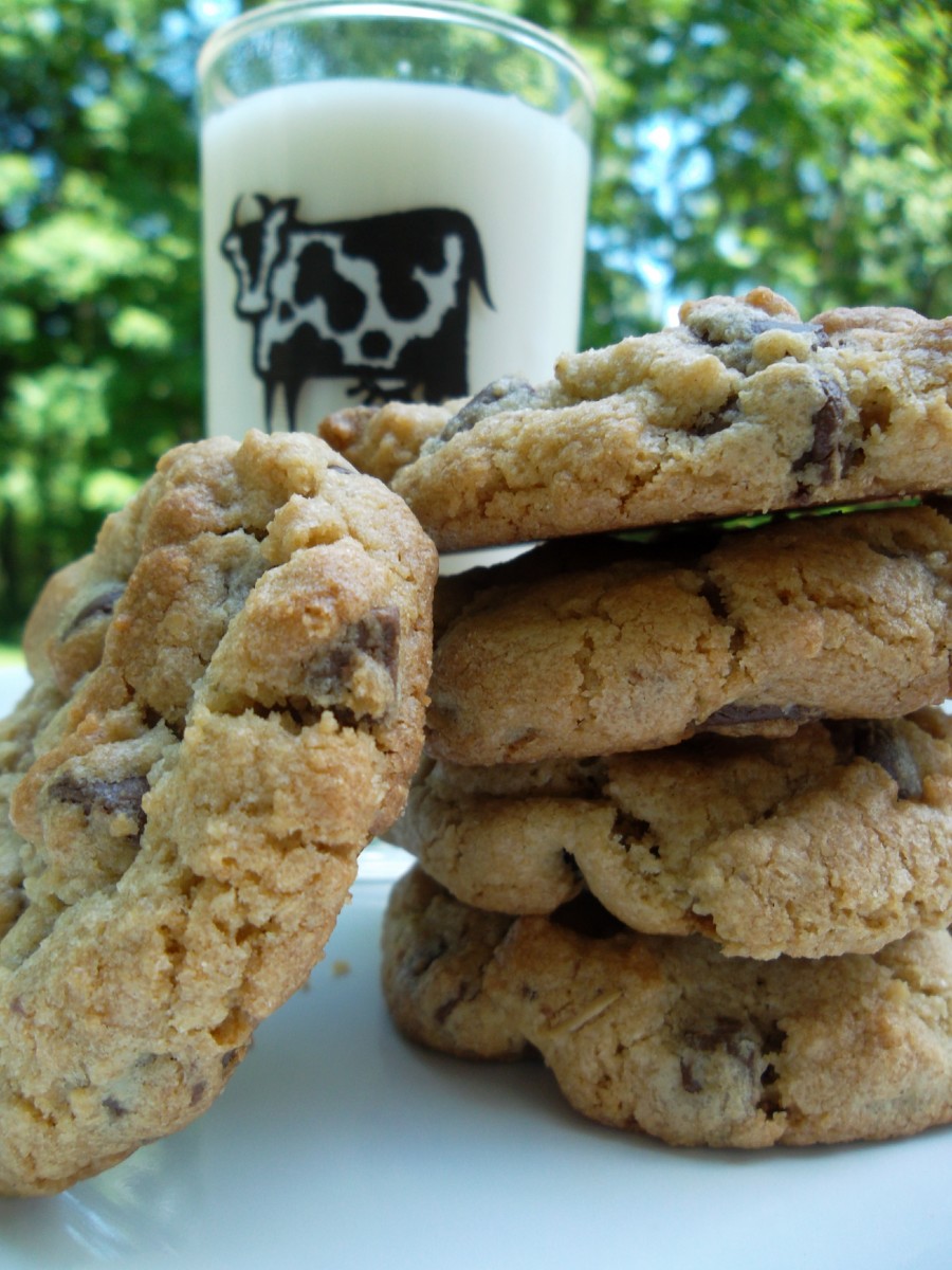 The Best Mrs Fields Chocolate Chip Cookie Hoax Recipe Delishably