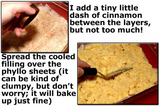 Sprinkle a little cinnamon between layers. Spread the cooled custard filling on top of the phyllo layered bottom of the baking dish.