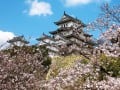 10 Imposing, Historic, Must-Visit Castles in Japan