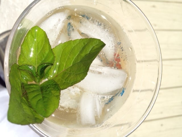 What's better then a cool glass of refreshing iced green tea then a hint of fresh mint! 