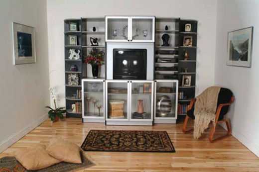 Entertainment Center