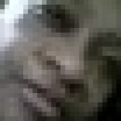 Angie Ivy profile image