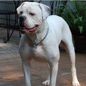 Dubie217 profile image