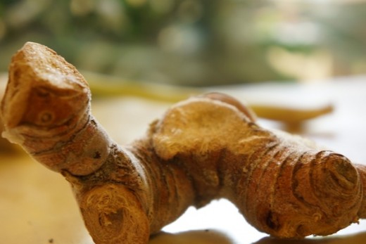Galangal