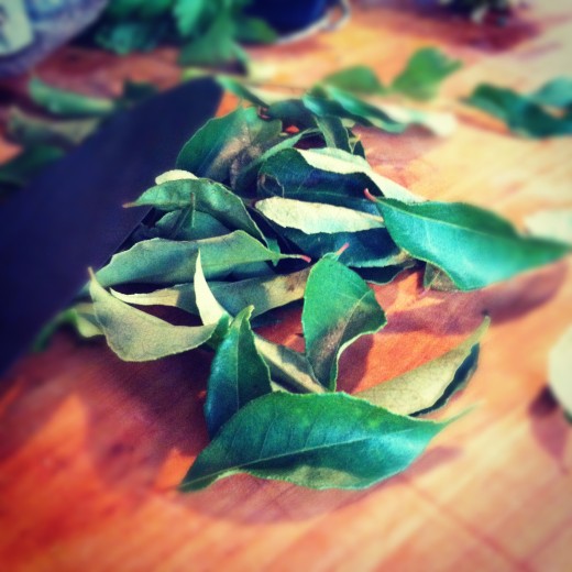 Fresh curry leaves