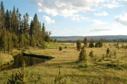 A Hike Down Firehole Meadows Trail in Yellowstone National Park