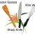 Wooden Spatula, Sharp Knife, Wire Whisk Wooden Spatula, Sharp Knife, Wire Whisk
