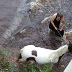 our little river normally occupied by ducks is a great place to wash the horses.