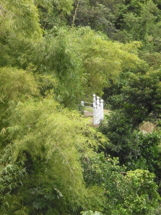 Viewing platform in bamboo forest above the Soufriere volcano in Saint Lucia.