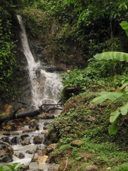 Waterfalls and creeks run down the lip of the caldera to join the steam and heated subterranean water in the active volcano.  During a phreatic eruption, underground magma heats ground water until the pressure  blasts up steam, water, rock and ash.