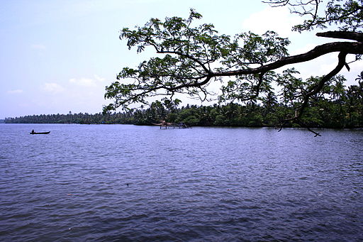 Cherai backwaters