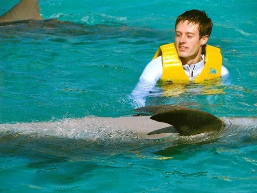 Me swimming with the dolphins!