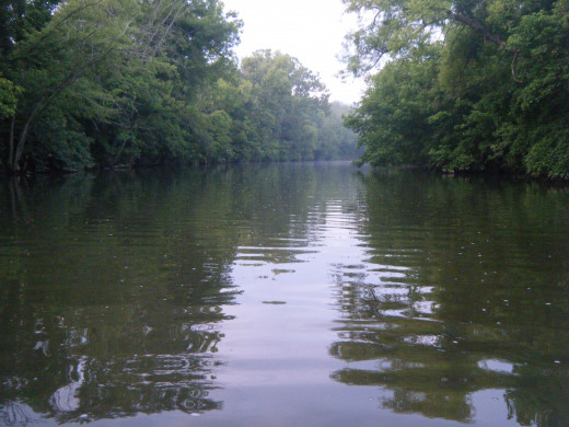 West Prong of the Little Pigeon River in Pigeon Forge, Tennessee