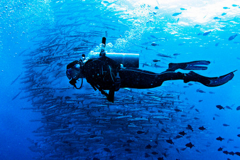 Diver at Barracuda Point, Sipadan, Malaysia