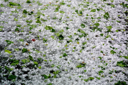 Yard after a severe hailstorm.