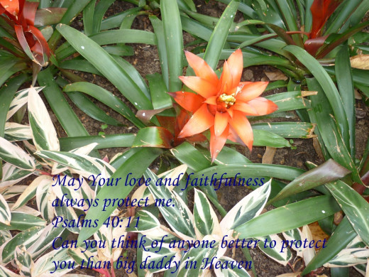 Follow Jesus' lead in your investments