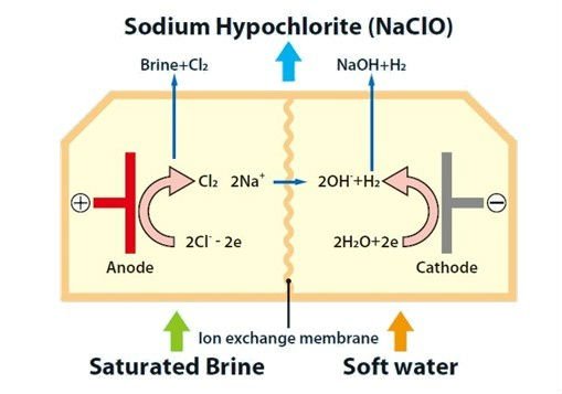 Electrolyzed Water - Sodium Hypchlorite