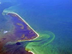 Eutrophication:Causes and Solutions
