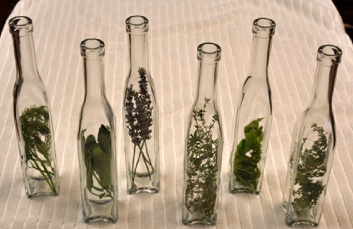 herbs on bottles