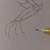 Sketching in the other lines for all the finger joints. Sketching in the other lines for all the finger joints.