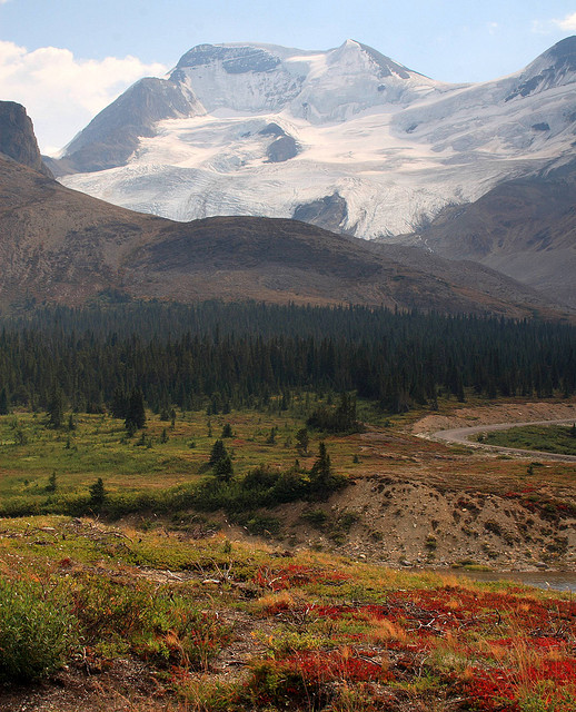 The Columbia Icefield is the hydrographic apex of North America.  From this point water flows to three different oceans
