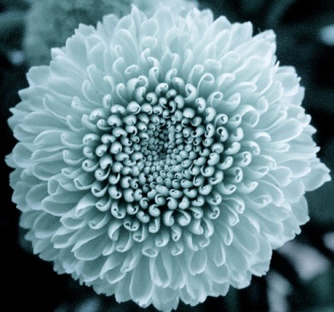 The Simplicity On the Other Side of Complexity!