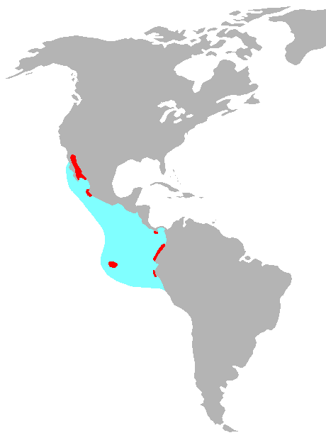 This map displays the distribution of the Blue Footed Boobies. The red area is where most of the Blue Footed Boobies live. 