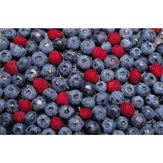 Mixed Berries