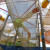A look up at the nets A look up at the nets