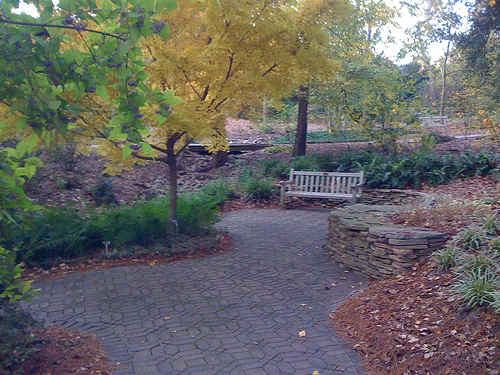 South Carolina Botanical Garden at Clemson