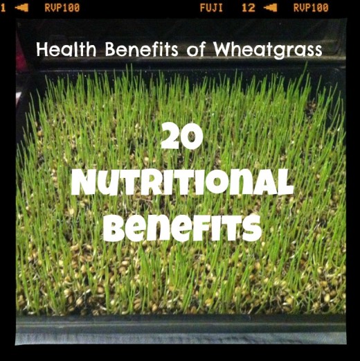 Nutritional Benefits of Wheatgrass