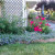 Garden Bed Garden Bed