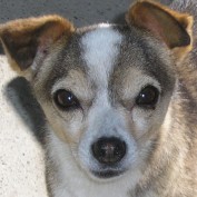janeolly profile image