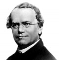 Gregor Mendel, the Father of Genetics