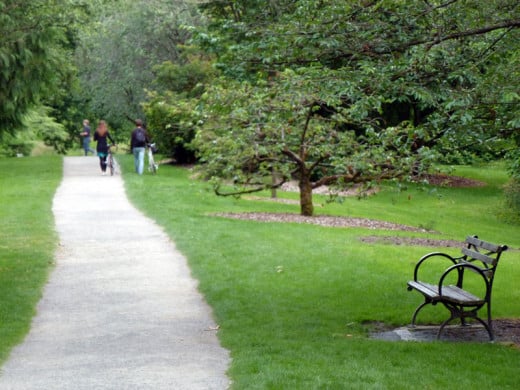 Walkers enjoying Washington Park Arboretum in Seattle, Washington.