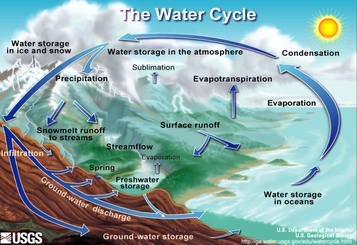 Image result for diagram of how it affects the water cycle. water vapor