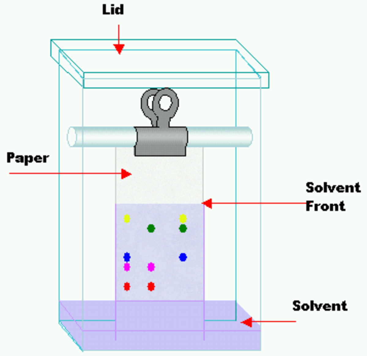 hypothesis of paper chromatography