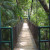 Suspension footbridge, Parque-Museo de La Venta