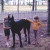 My sister (left), her best friend and our Great Dane, Zorba.  Childhood full of innocence and dreams.