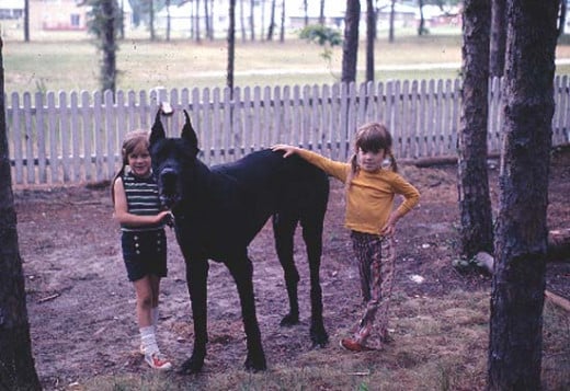 My sister (left), her best friend and our Great Dane, Zorba.  Childhood full of innocence and dreams.