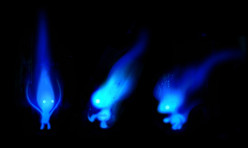 What Is a Will O The Wisp? Will O The Wisp Definition & Will O The Wisp Meaning