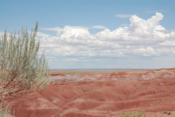 Visiting Petrified Forest National Park