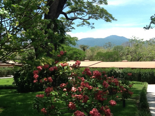 Beautiful landscape at the Hotel Hacienda Gauchipelin
