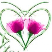 Passion4you profile image